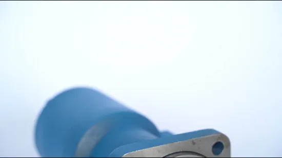 Motori idraulici cicloidali a flusso assiale Hidraulico con distribuzione leggera dell'albero da 28 mm per piccole gru